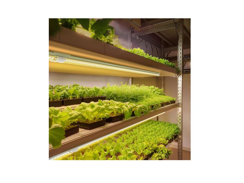Barrina T8 4FT Full Spectrum Grow Light 4-Pack