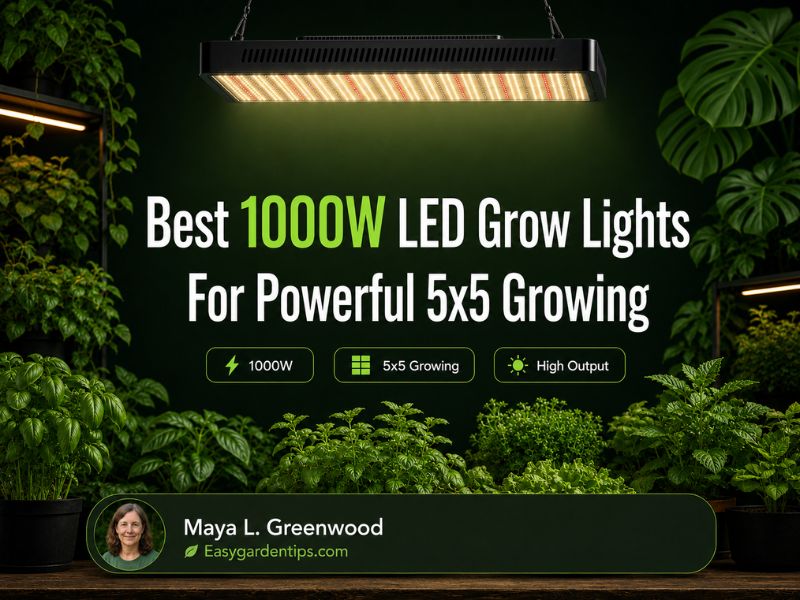 Best 1000W LED Grow Lights for Powerful 5x5 Growing