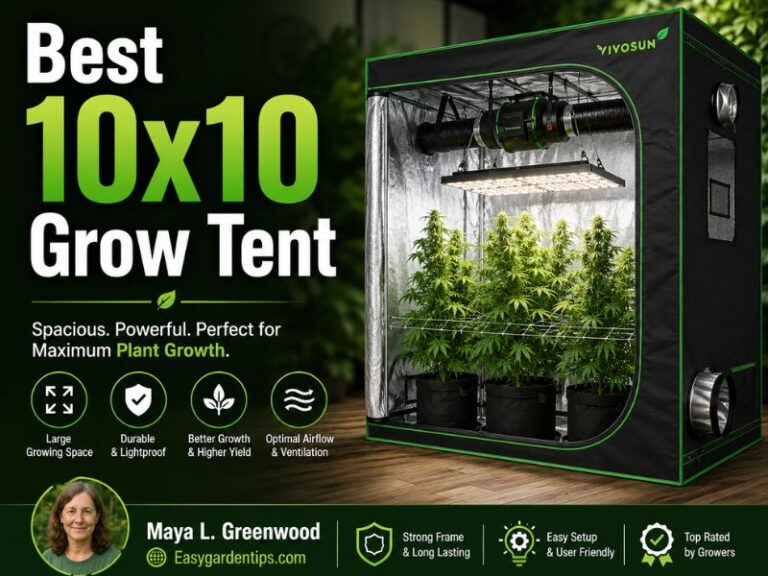 Best 10×10 Grow Tent: 5 Heavy-Duty Rooms for Serious Growers