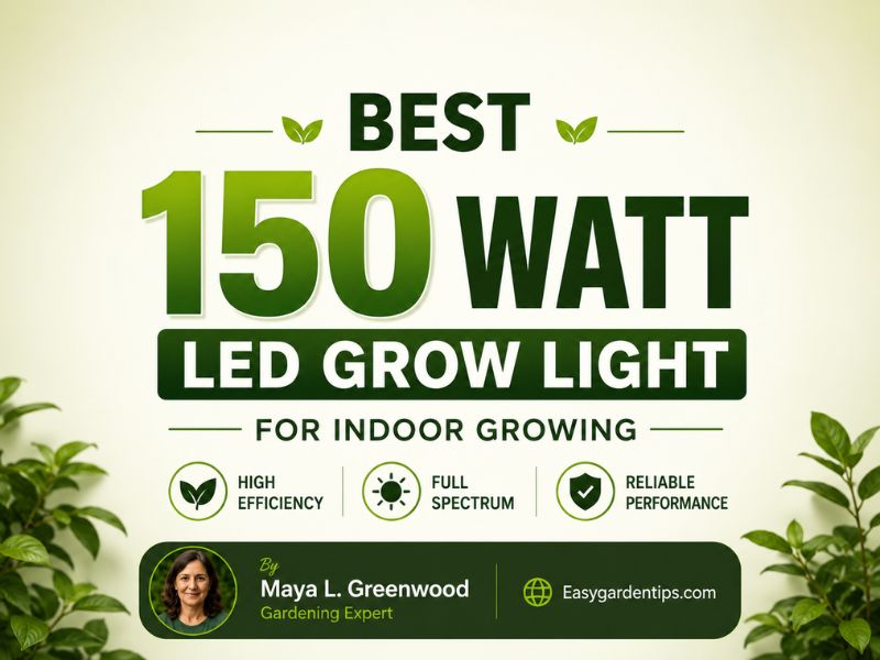 Best 150 Watt LED Grow Light for Indoor Growing