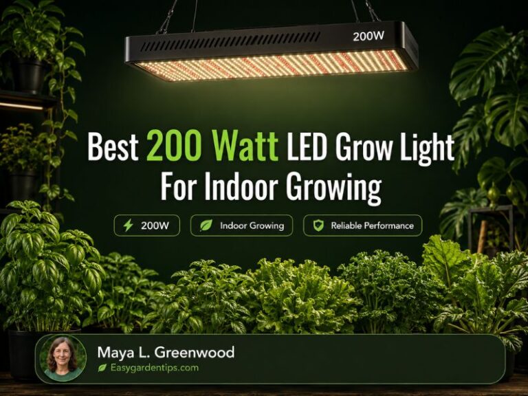 Best 200 Watt LED Grow Light for Indoor Growing