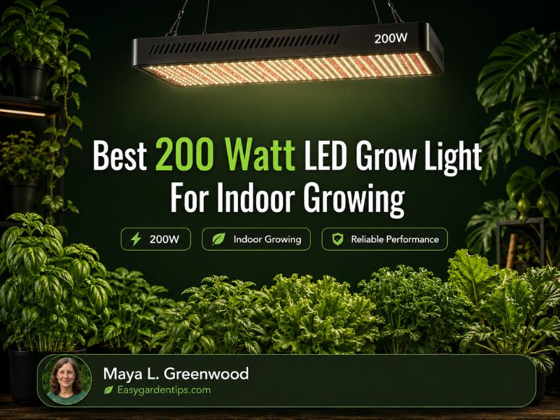 Best 200 Watt LED Grow Light for Indoor Growing