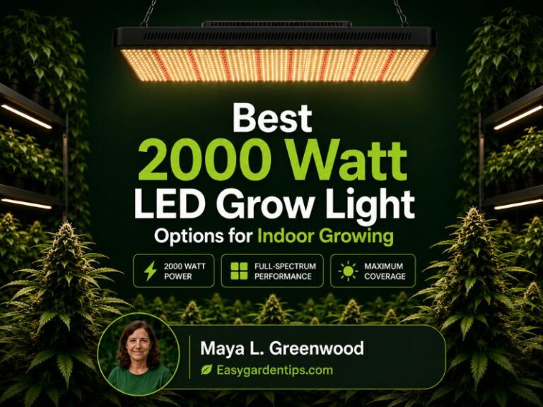 Best 2000 Watt LED Grow Light Options for Indoor Growing