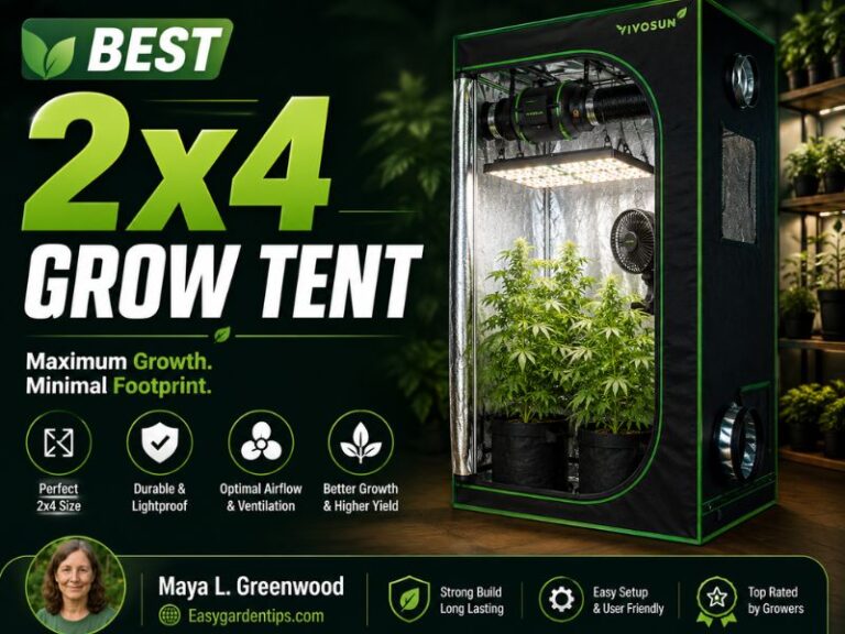 Best 2x4 Grow Tent: 5 Durable Models for Serious Indoor Growing
