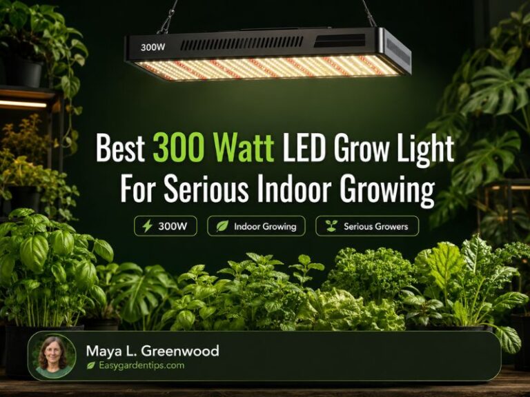 Best 300 Watt LED Grow Light for Serious Indoor Growing