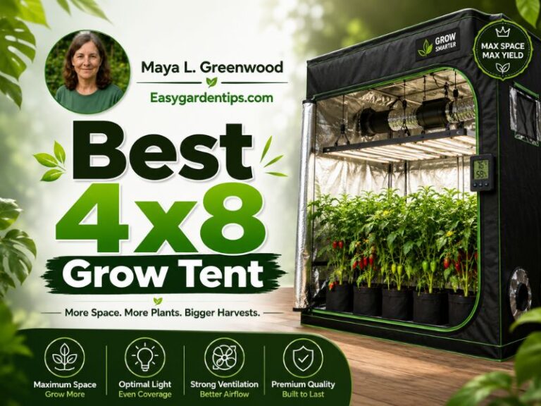 Best 4x8 Grow Tent: 5 Large Rooms for Dual-Light Layouts
