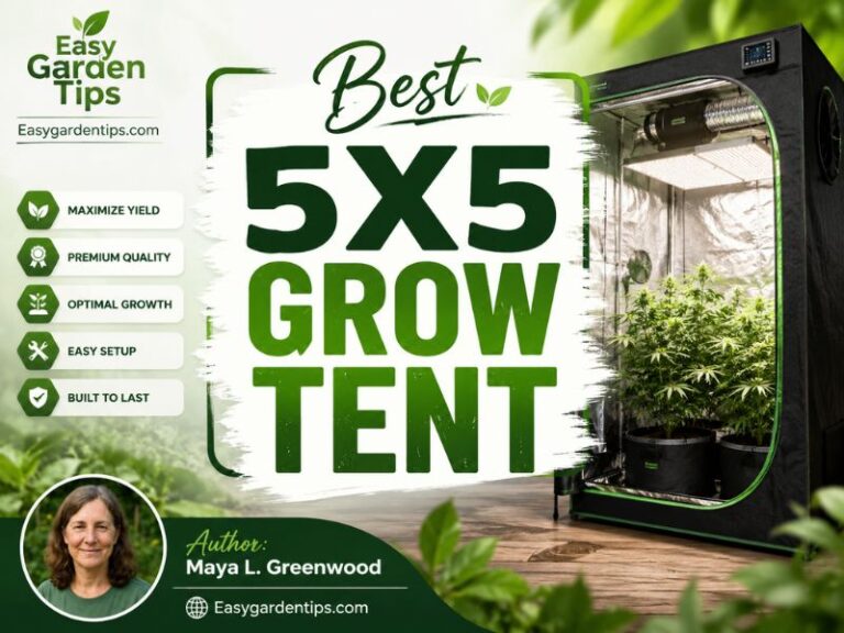Best 5x5 Grow Tent: 5 Strong Rooms for Full-Canopy Control