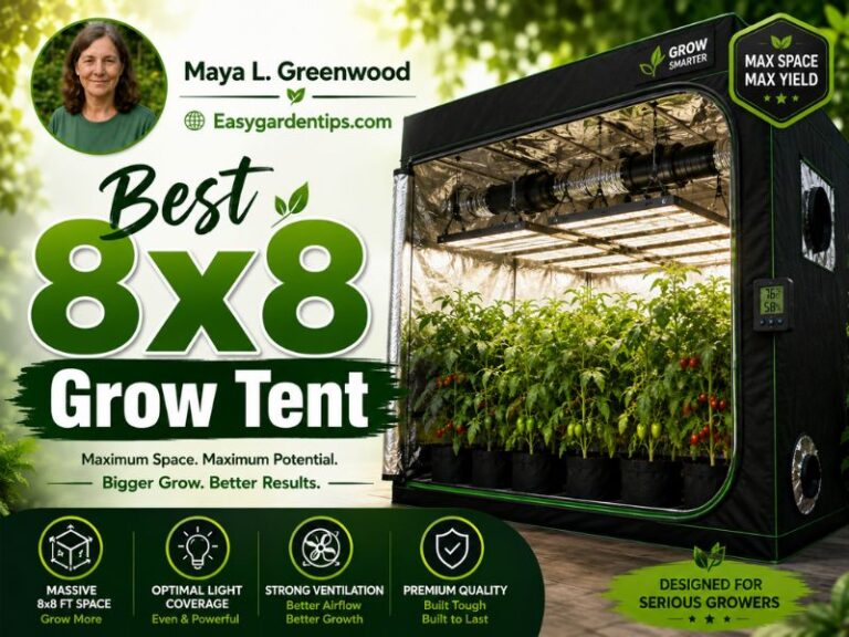 Best 8x8 Grow Tent