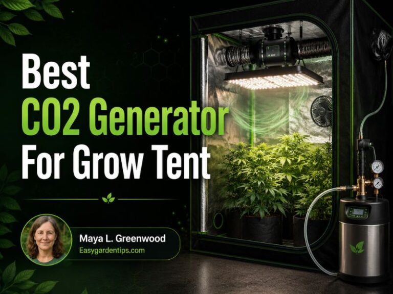 Best CO2 Generator for Grow Tent: 3 Practical Ways to Enrich