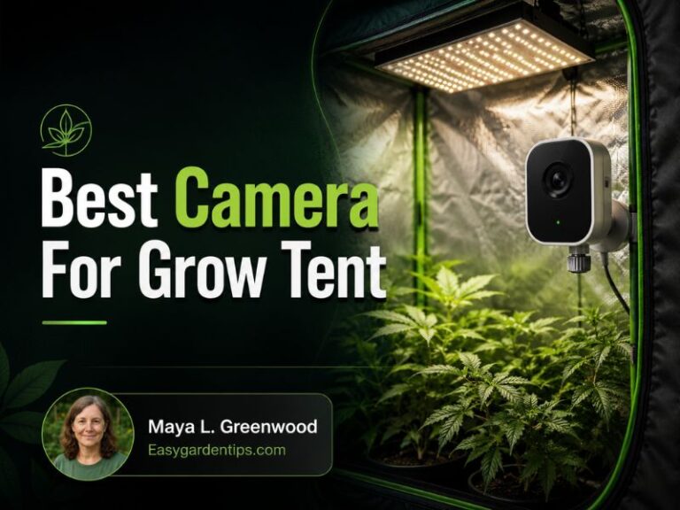 Best Camera for Grow Tent: 3 Smart Picks for Plant Monitoring