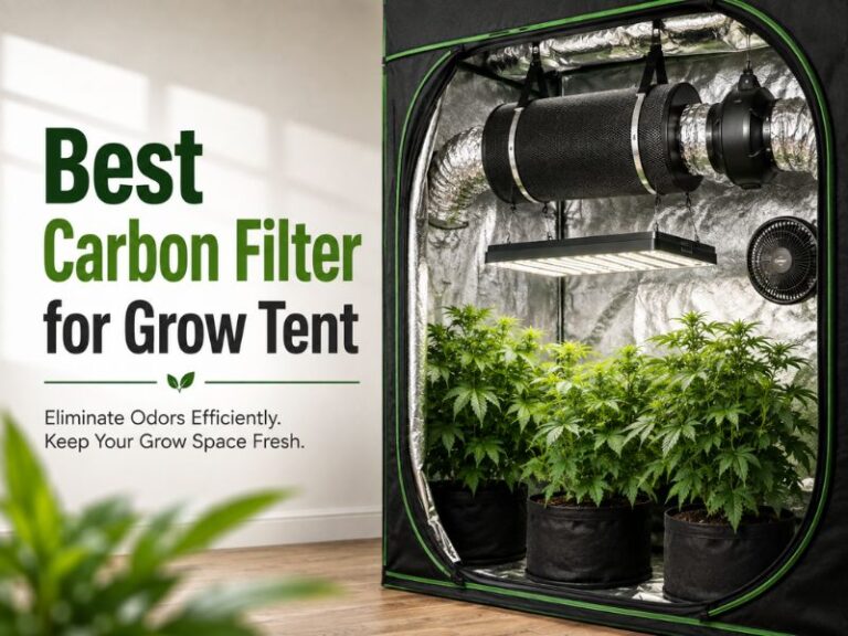 Best Carbon Filter for Grow Tent: 2x2, 3x3, 2x4, 4x4, 5x5, 8x8