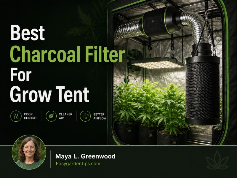 Best Charcoal Filter for Grow Tent: 3 Picks That Control Odor
