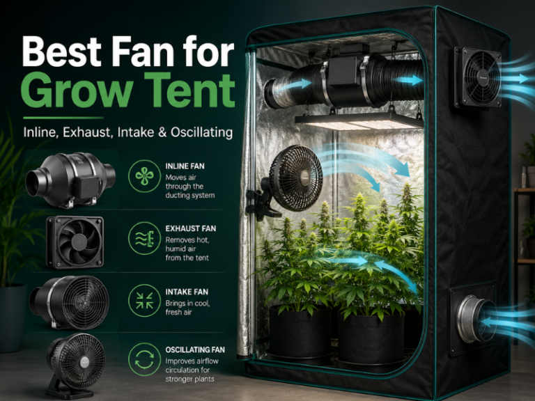 Best Fan for Grow Tent: Inline, Exhaust, Intake & Oscillating
