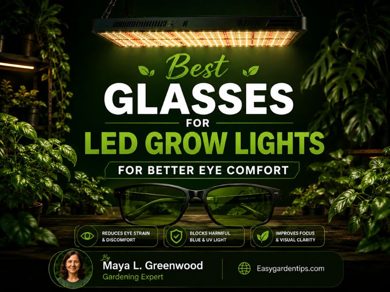 Best Glasses for LED Grow Lights for Better Eye Comfort