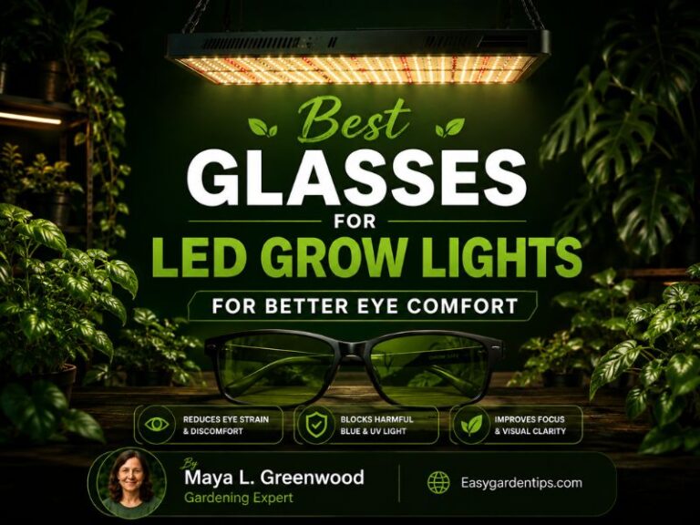 3 Best Glasses for LED Grow Lights for Better Eye Comfort