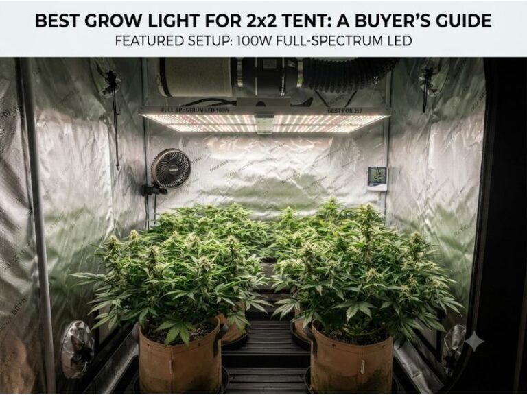 Best Grow Light for 2x2 Tent: 5 Compact Full-Spectrum LEDs