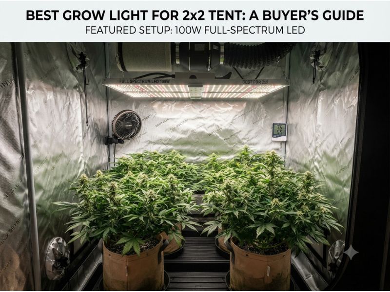Best Grow Light for 2x2 Tent: 5 Compact Full-Spectrum LEDs