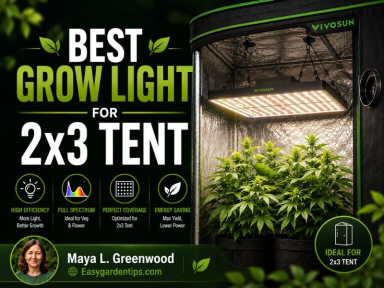 Best Grow Light for 2x3 Tent: 3 Efficient Full-Spectrum LEDs