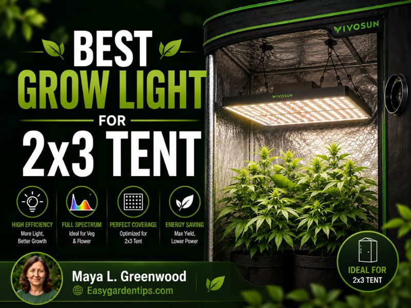 Best Grow Light for 2x3 Tent: 3 Efficient Full-Spectrum LEDs