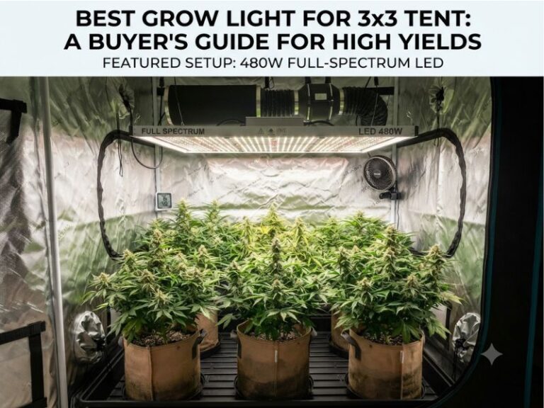 Best Grow Light for 3x3 Tent: 5 Efficient Full-Spectrum LEDs