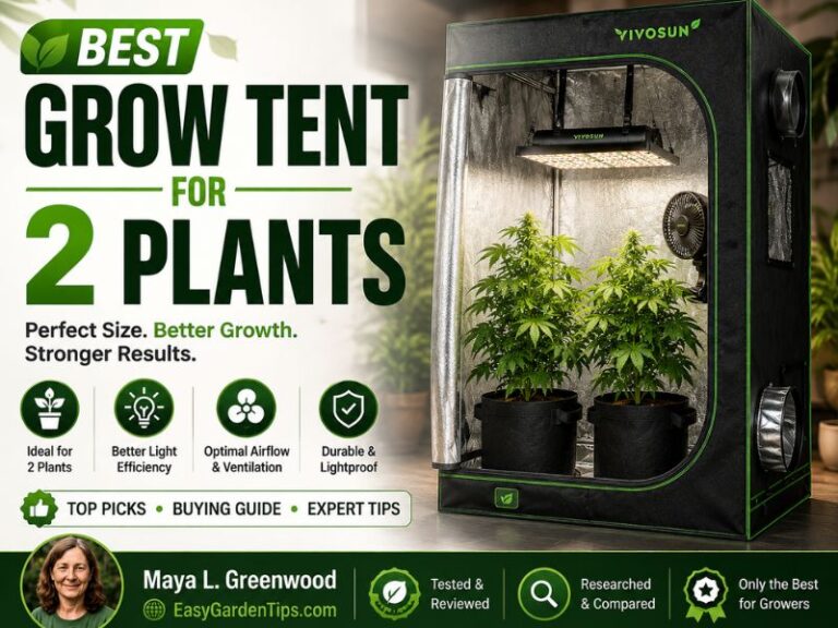 Best Grow Tent for 2 Plants: 3 Tents That Leave Room to Grow