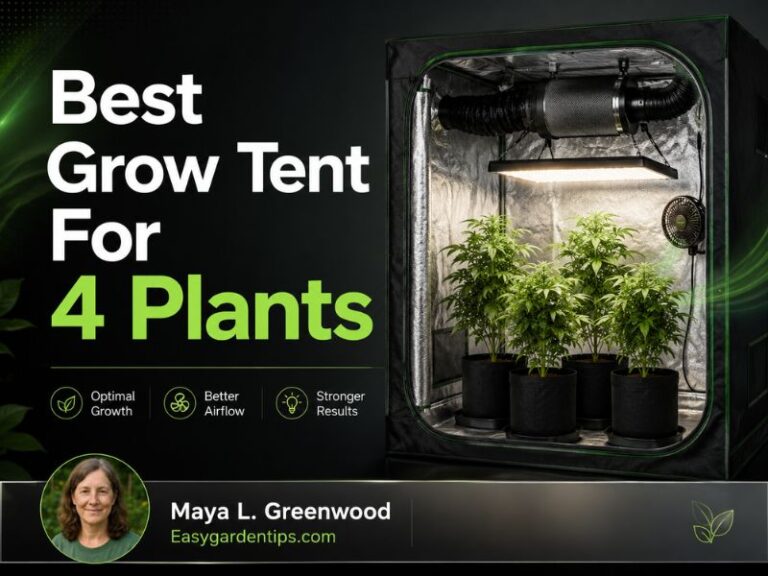 Best Grow Tent for 4 Plants: Give Every Plant Room to Grow