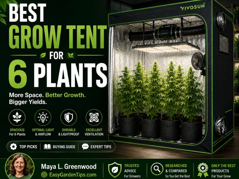 Best Grow Tent for 6 Plants: Build a Roomy, Manageable Indoor Garden