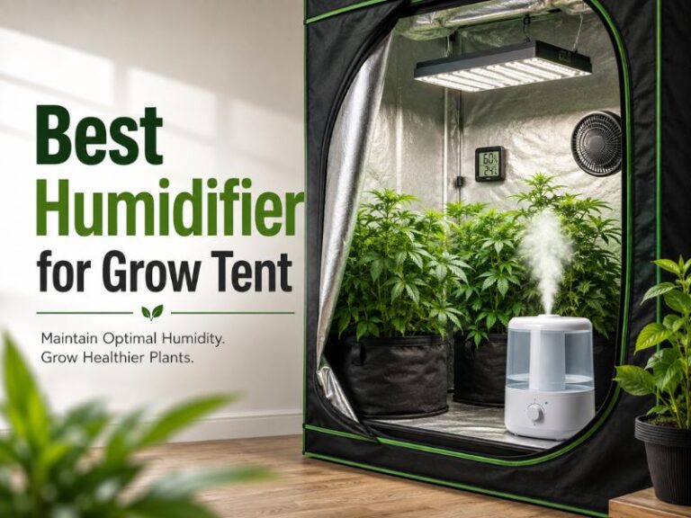 Best Humidifiers for Grow Tents