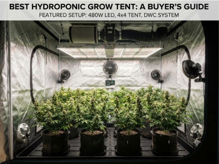 Best Hydroponic Grow Tent: 5 Top Sizes for Indoor Grow Rooms