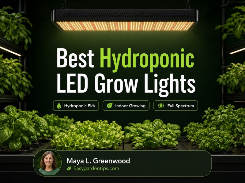 Best Hydroponic LED Grow Lights for Serious Indoor Growing