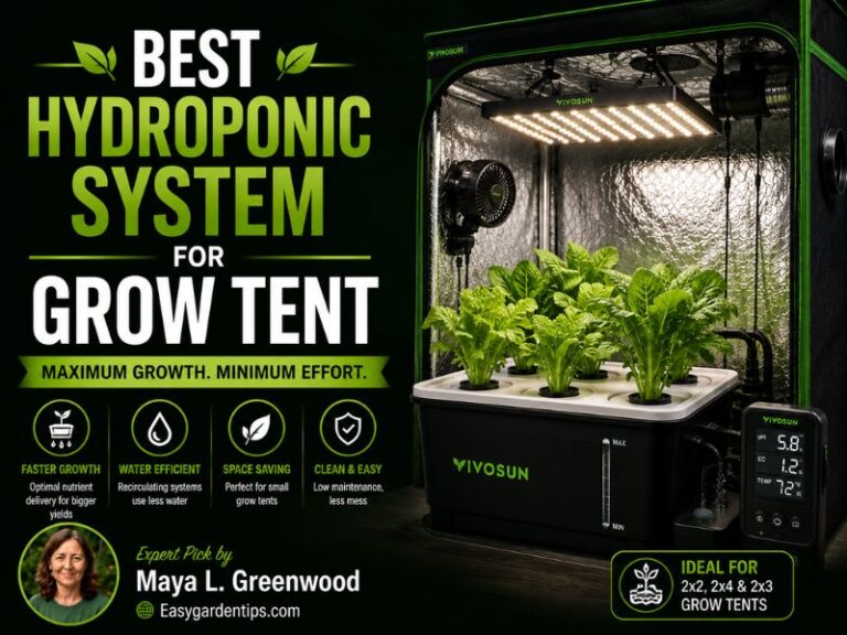 Best Hydroponic System for Grow Tent: 3 Smart DWC Kits Reviewed