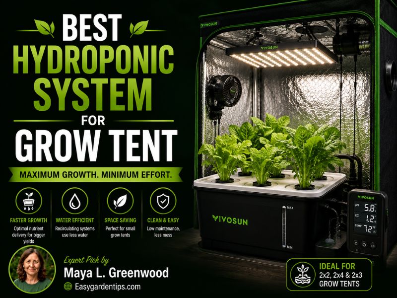 Best Hydroponic System for Grow Tent: 3 Smart DWC Kits Reviewed