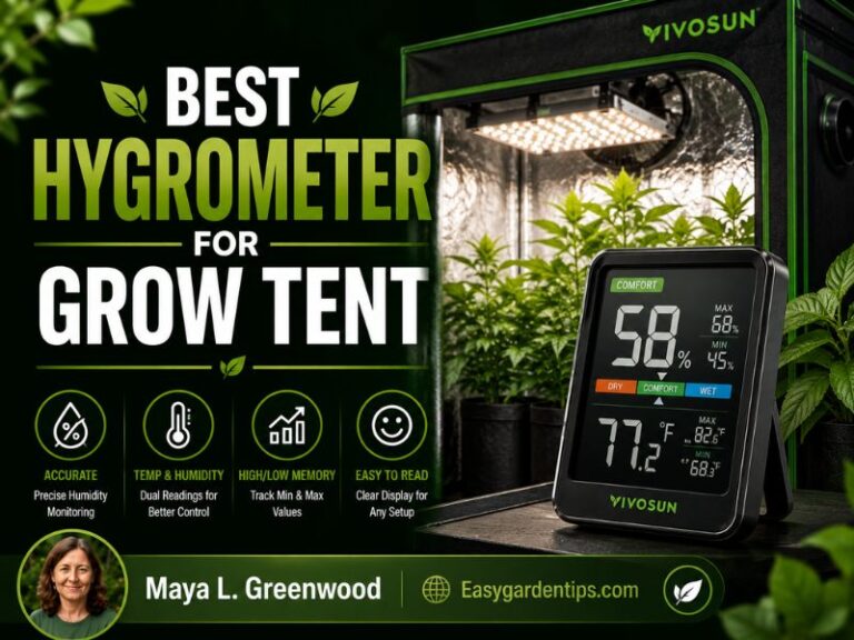 Best Hygrometer for Grow Tent