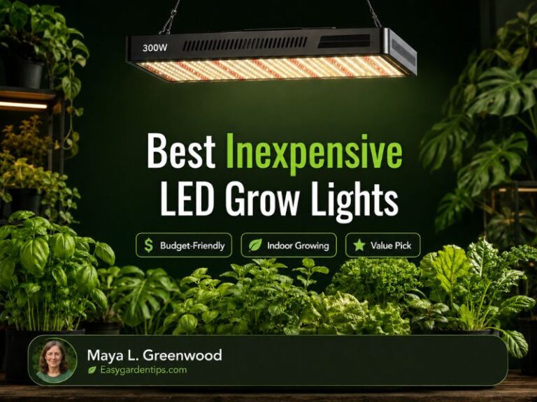 Best Inexpensive LED Grow Lights for Indoor Plants