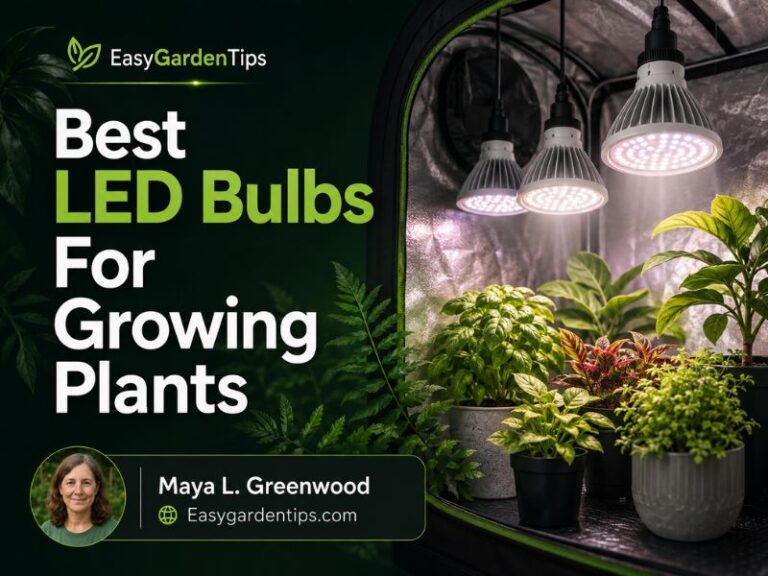 Best LED Bulbs for Growing Plants: 5 Reliable Indoor Options