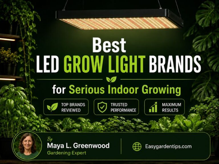 3 Best LED Grow Light Brands for Serious Indoor Growing
