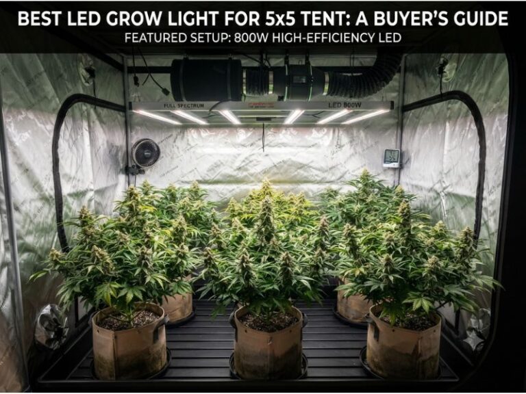 Best LED Grow Light for 5x5 Tent: 5 Full-Canopy LED Systems