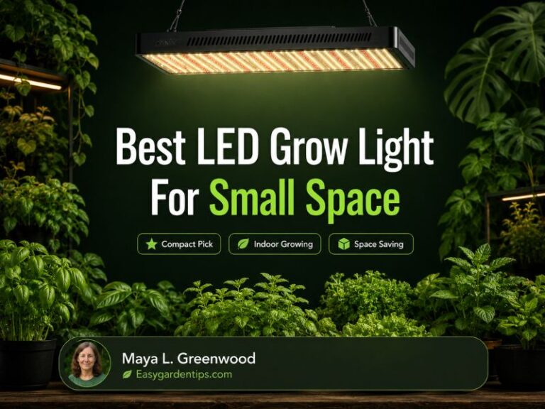 Best LED Grow Light for Small Space Indoor Growing