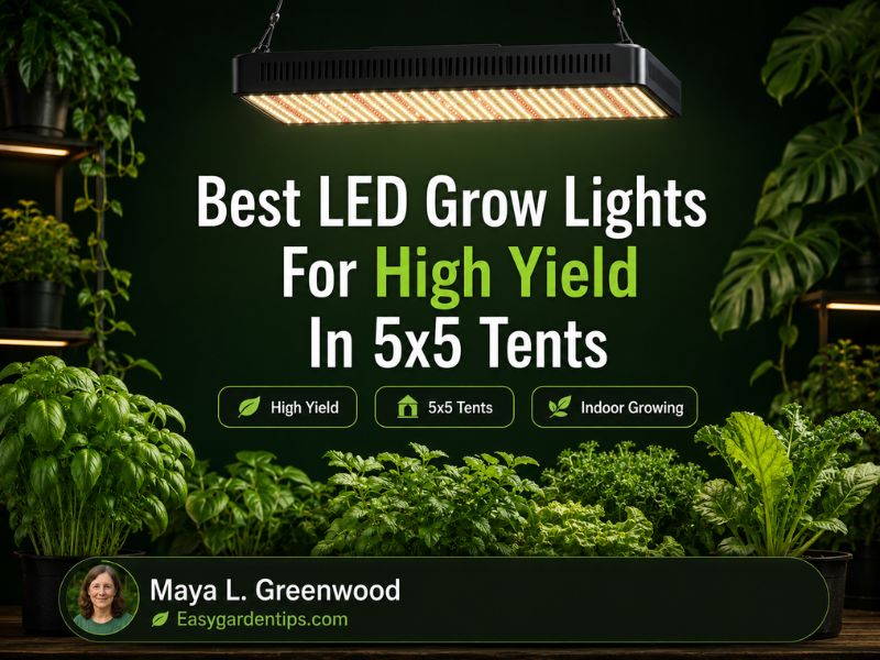 Best LED Grow Lights for High Yield in 5x5 Tents
