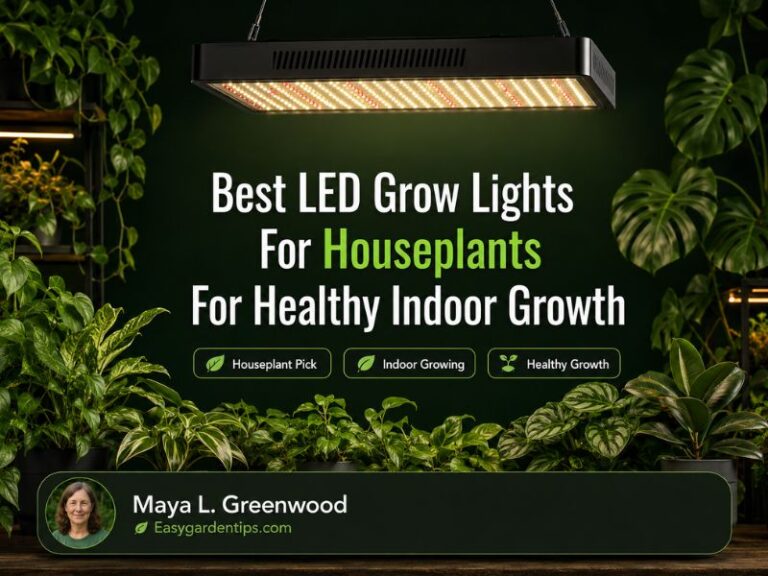 3 Best LED Grow Lights for Houseplants for Healthy Indoor Growth