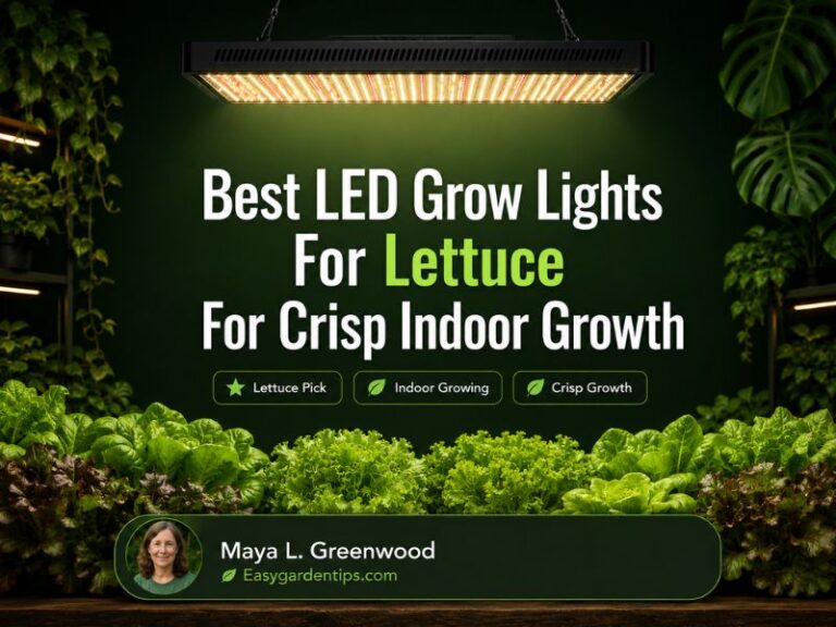 Best LED Grow Lights for Lettuce for Crisp Indoor Growth