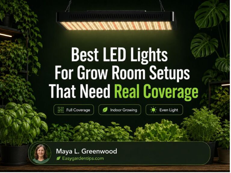 Best LED Lights for Grow Room Setups That Need Real Coverage
