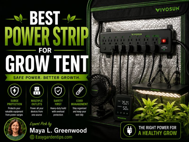 Best Power Strip for Grow Tent: 3 Safer Picks for Indoor Grows