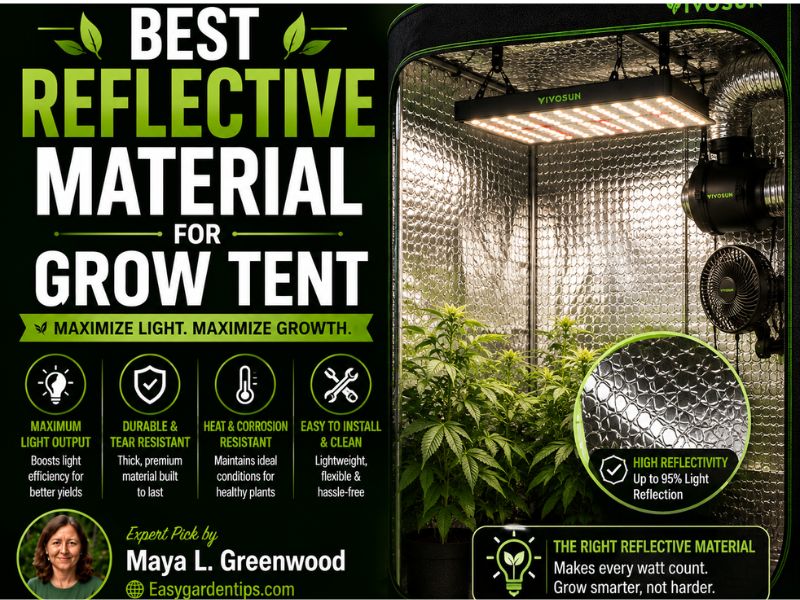 Best Reflective Material for Grow Tent: 3 Bright, Durable Picks
