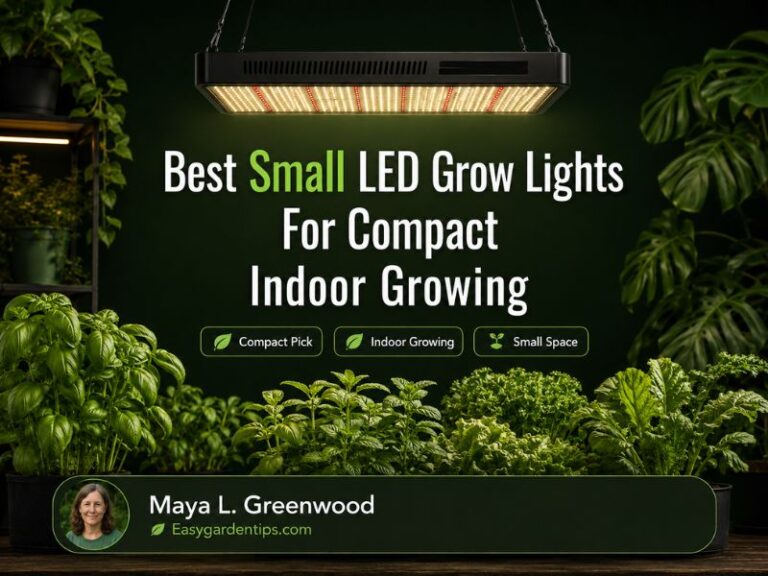 Best Small LED Grow Lights for Compact Indoor Growing