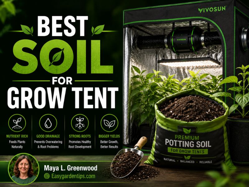 Best Soil for Grow Tent: 5 Mixes That Build Strong Roots Indoors