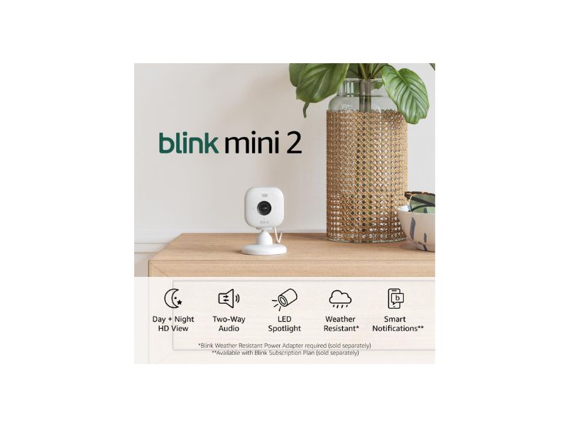 Blink Mini 2