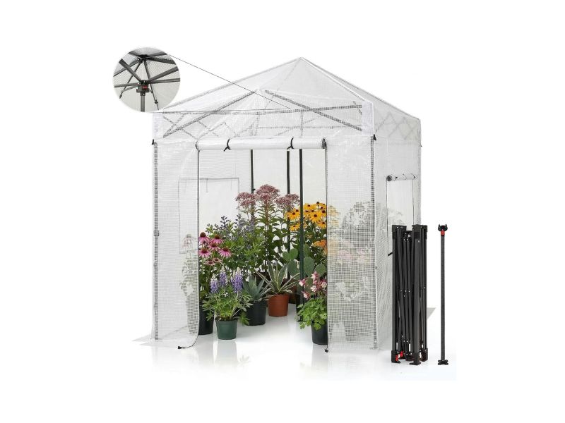 CROWN SHADES 8×6 Pop-Up Greenhouse