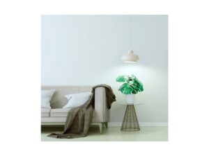 GE PAR38 Balanced Spectrum LED Grow Bulb