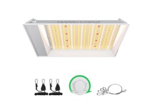 MARS HYDRO TS600 100W LED Grow Light